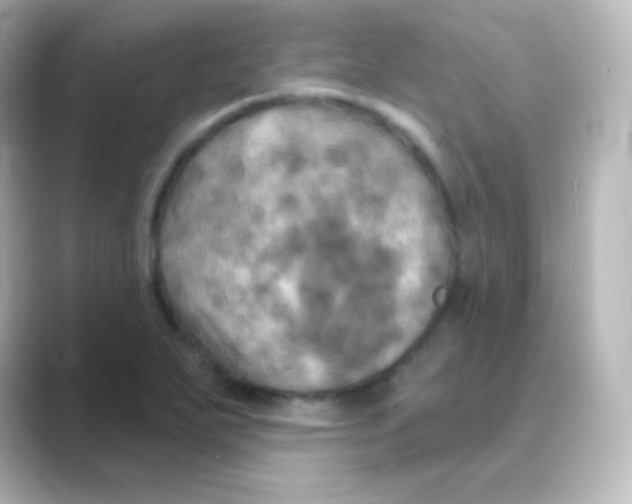 X0000088691271200706211920
