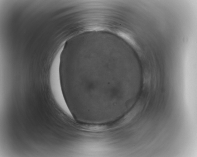 X0000088691273200706211920