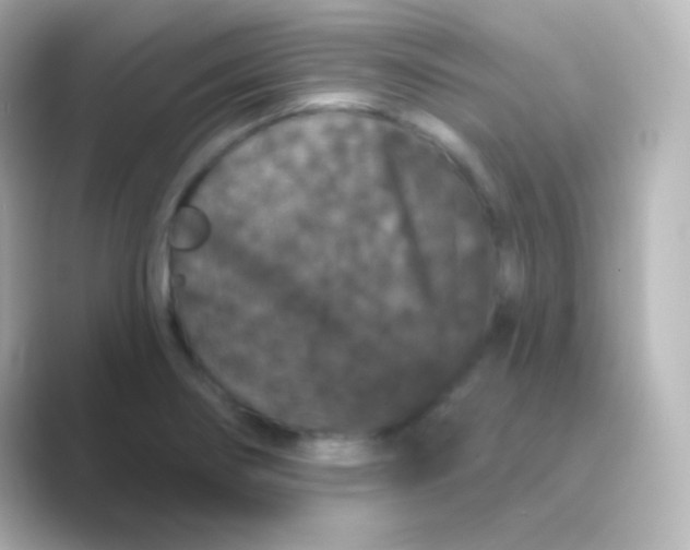 X0000088691274200706211920
