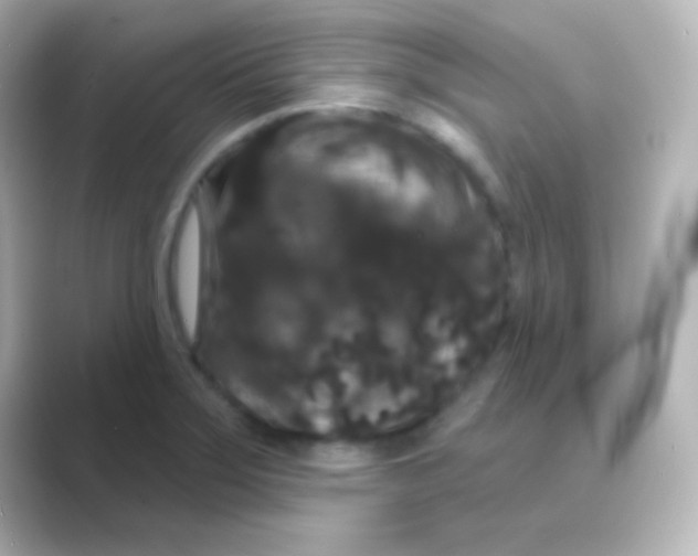 X0000088691275200706211920