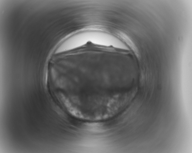 X0000088691276200706211920