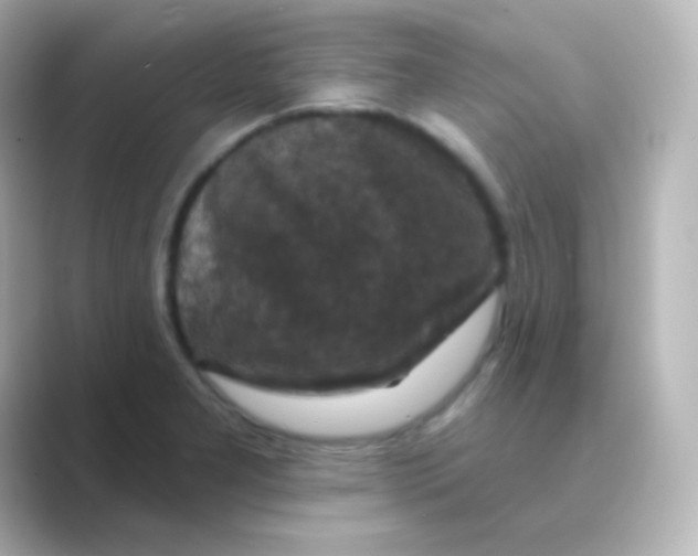 X0000088691277200706211920