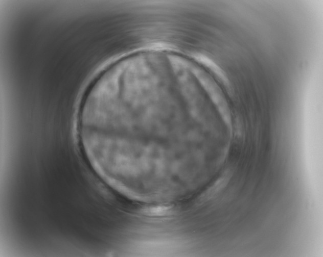 X0000088691278200706211920