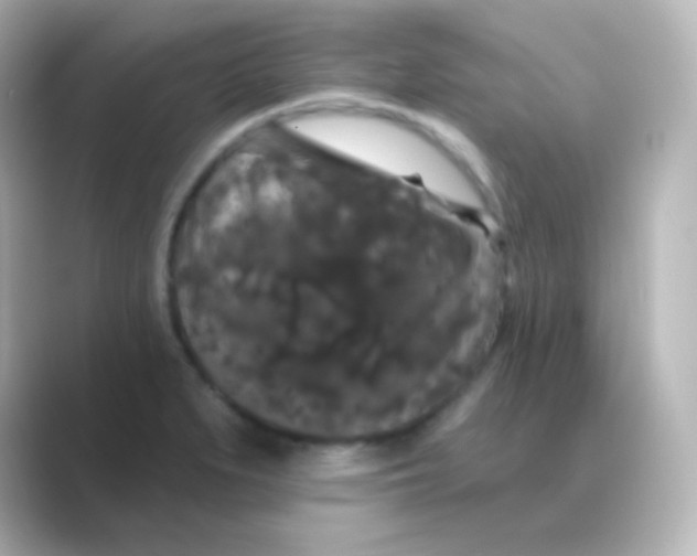 X0000088691279200706211920