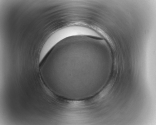 X0000088691281200706211920