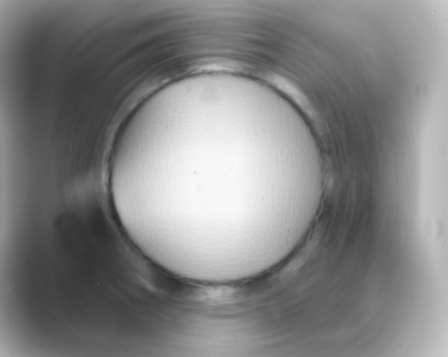 X0000088691282200706211920