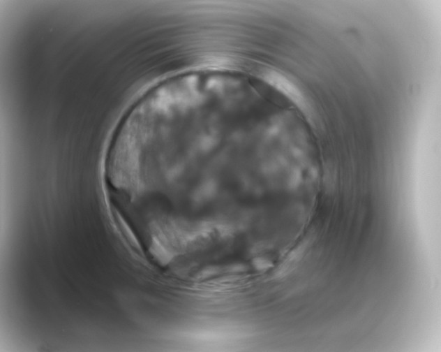 X0000088691283200706211920