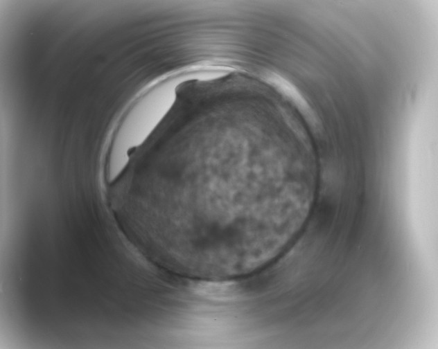 X0000088691284200706211920