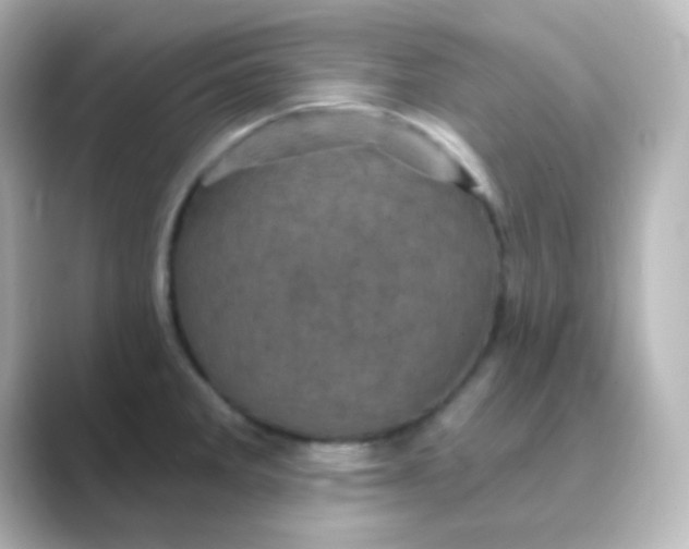 X0000088691285200706211920