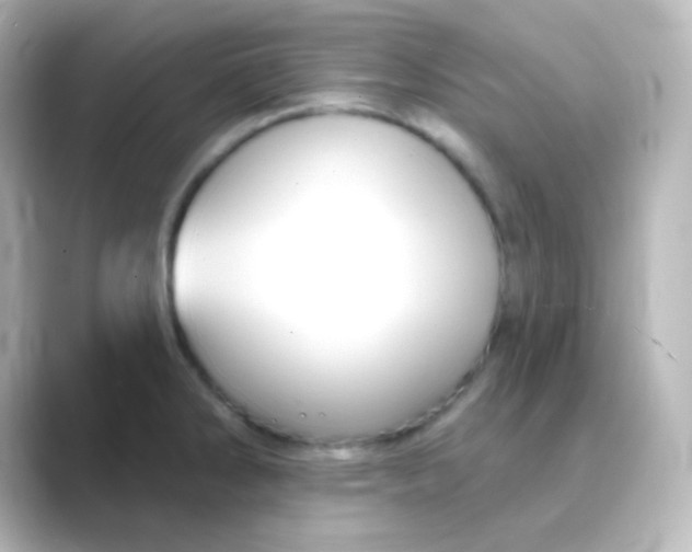 X0000088691286200706211920