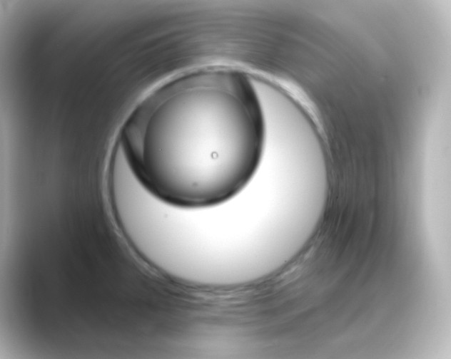 X0000088691287200706211920