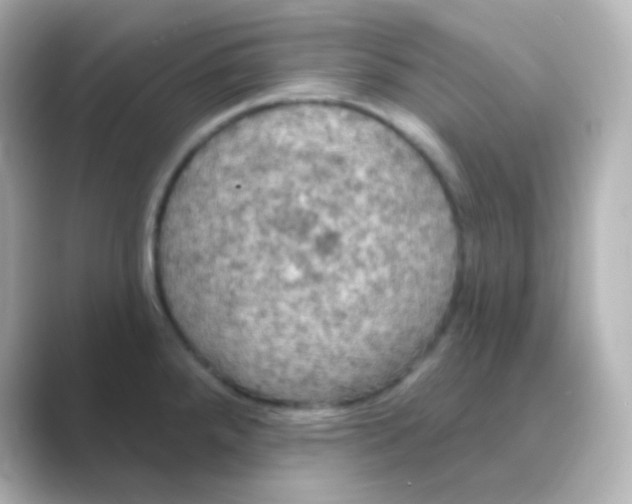 X0000088691288200706211920