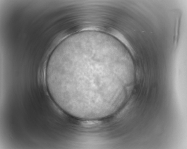 X0000088691290200706211920