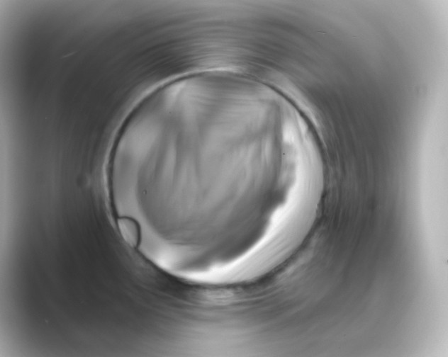 X0000088691291200706211920