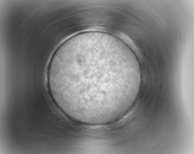 X0000088691292200706211920