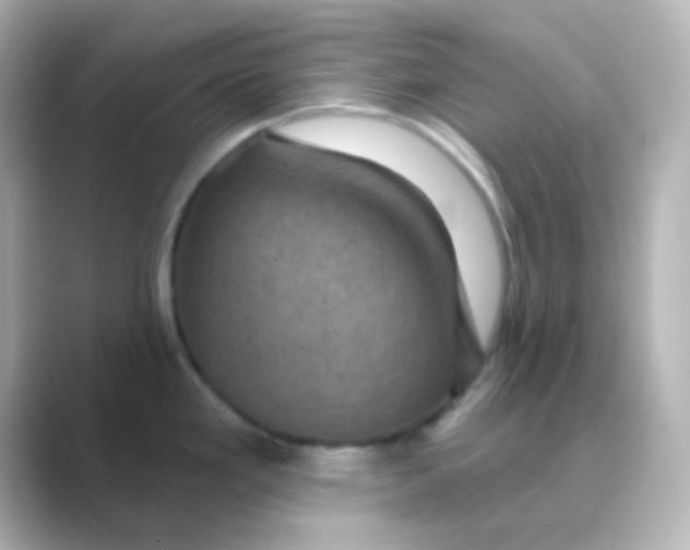 X0000088691293200706211920