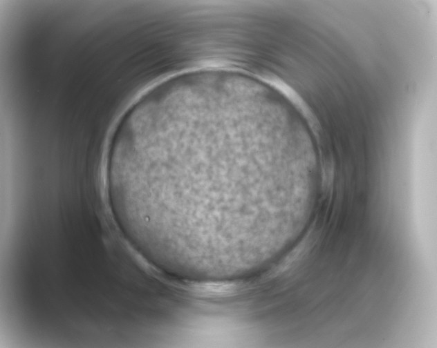 X0000088691294200706211920