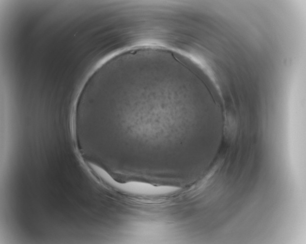 X0000088691295200706211920