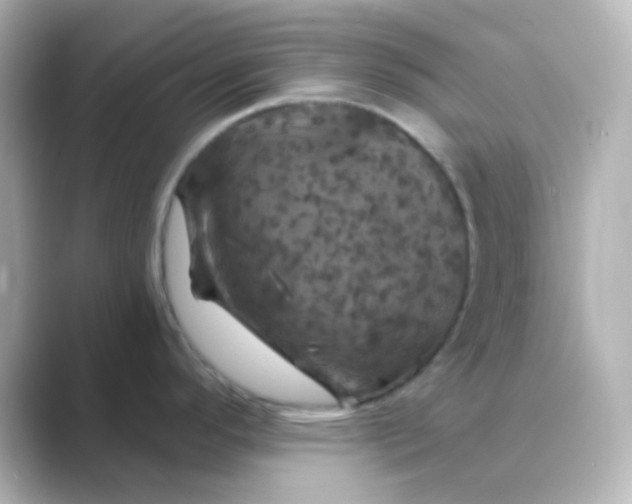 X0000088691296200706211920