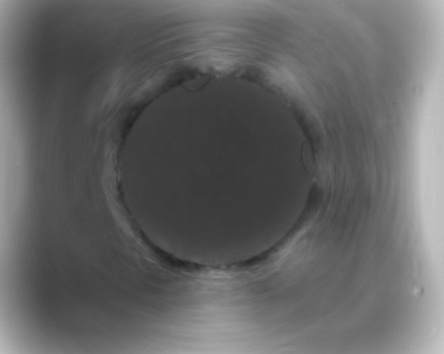 X0000088691297200706211919