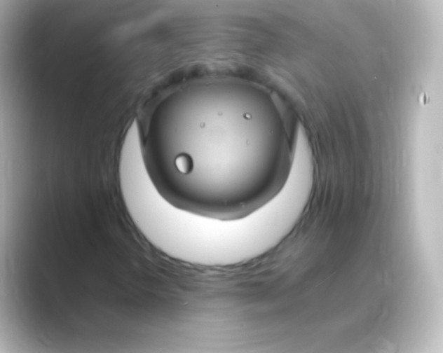 X0000088691298200706211919