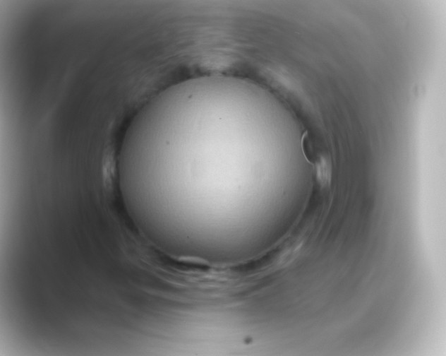 X0000088691299200706211919