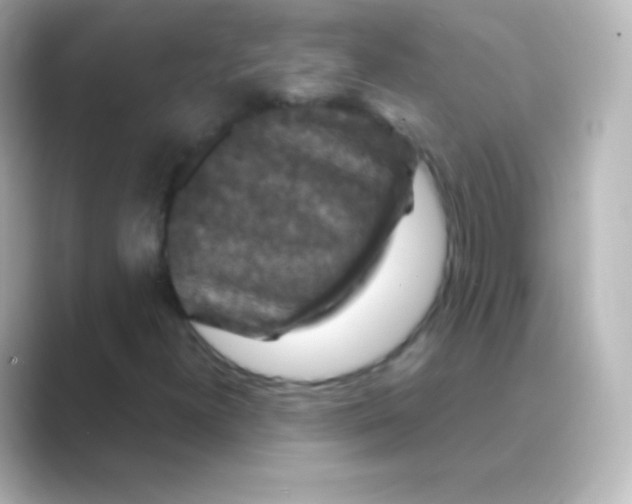 X0000088691300200706211919