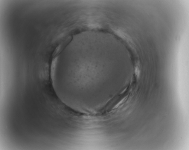 X0000088691301200706211919