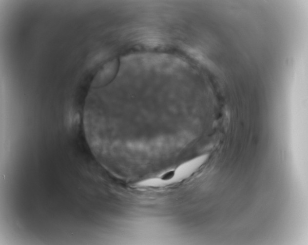 X0000088691302200706211919