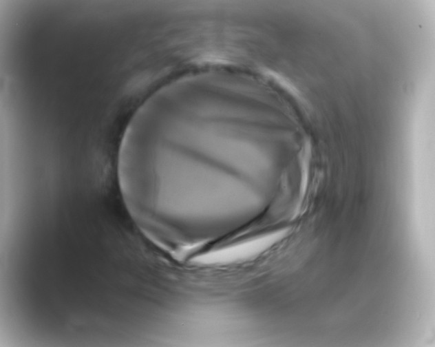 X0000088691303200706211919