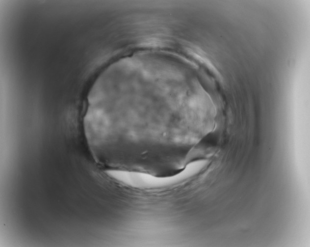 X0000088691304200706211919