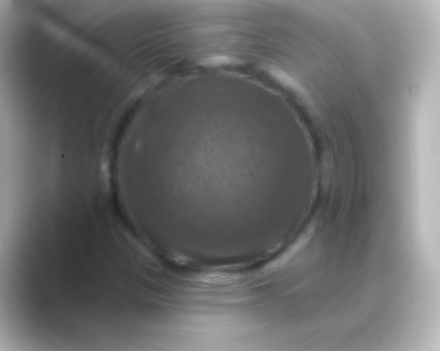 X0000088691305200706211919