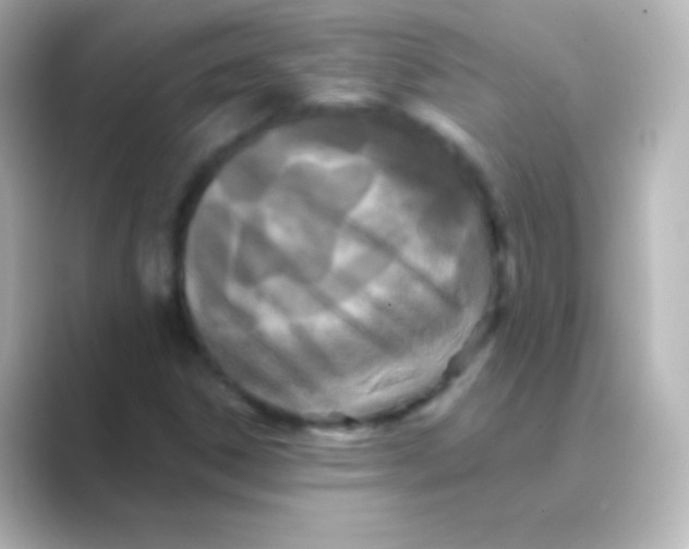 X0000088691306200706211919