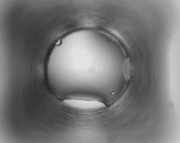 X0000088691307200706211919