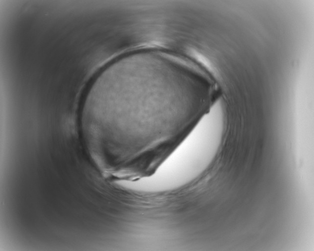 X0000088691308200706211919