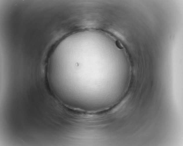 X0000088691309200706211919