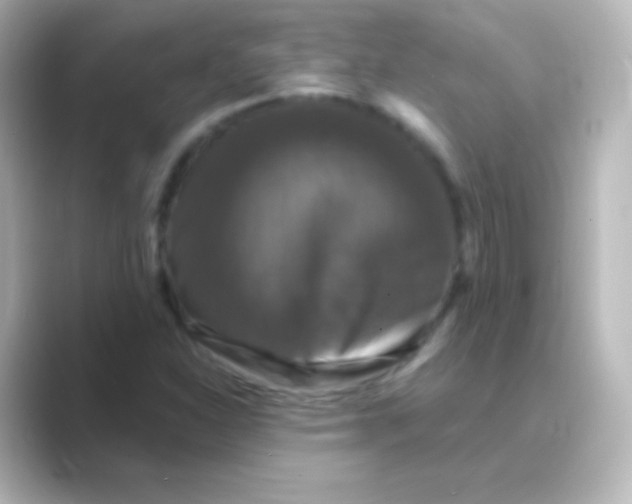 X0000088691310200706211919