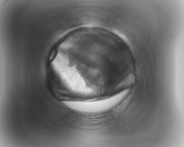 X0000088691311200706211919