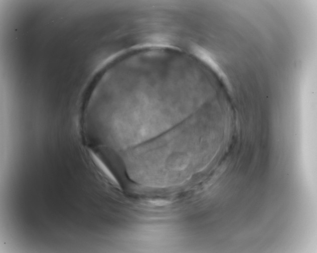X0000088691312200706211919