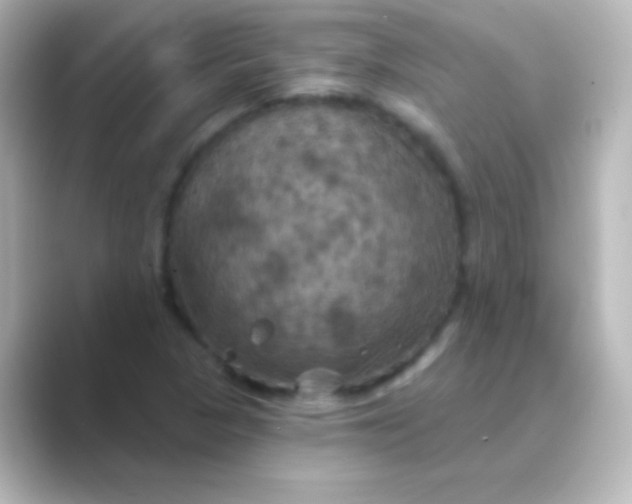 X0000088691313200706211919