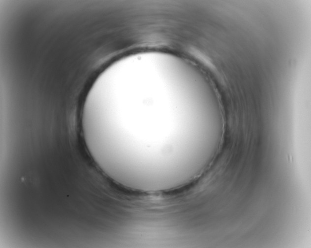X0000088691315200706211920