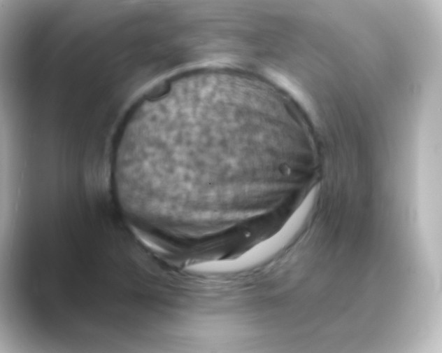 X0000088691316200706211920