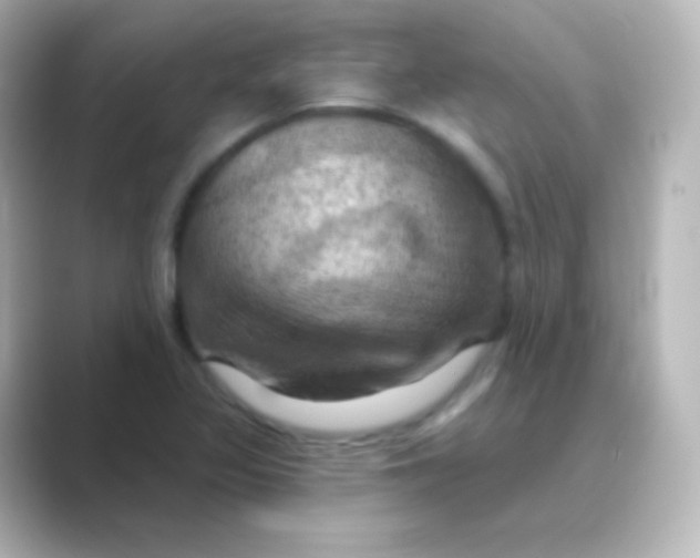 X0000088691317200706211920