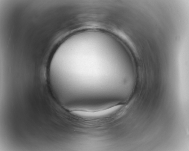 X0000088691318200706211920