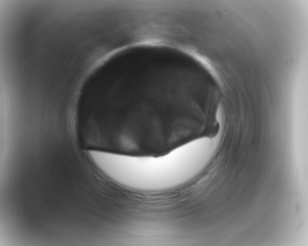 X0000088691319200706211920
