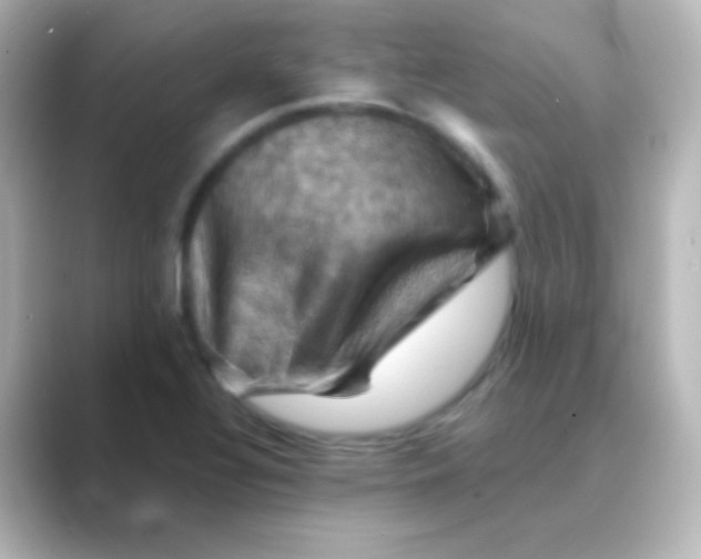 X0000088691320200706211920