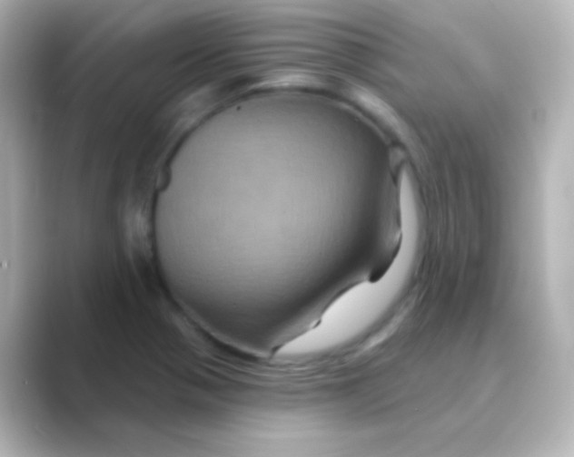 X0000088691321200706211920