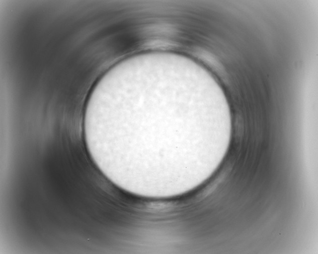 X0000088691322200706211920