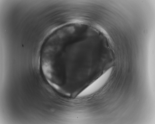 X0000088691323200706211920