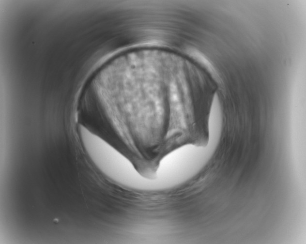 X0000088691324200706211920